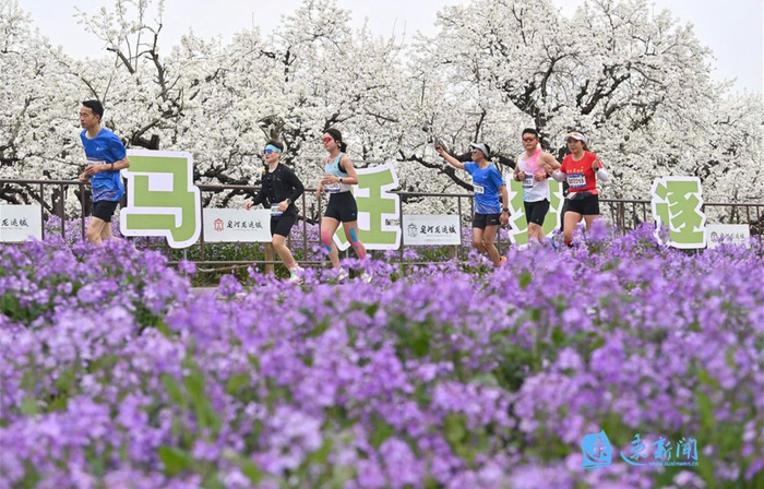kaiyun.com-安全文明跑迁马丨安全文明启迁马 科学备赛护跑者|马拉松|组委会|全程马拉松|半程马拉松|宿迁市_新浪新闻